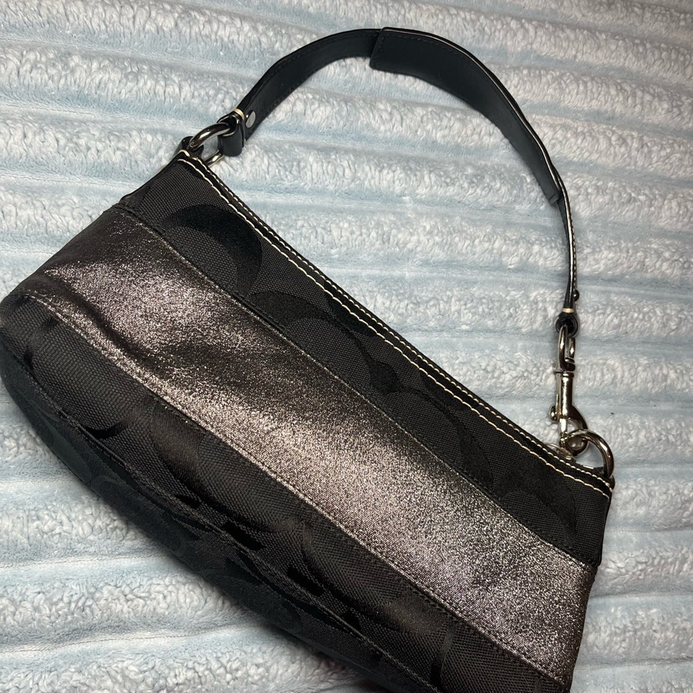Elegant Black and Silver Women's Bag